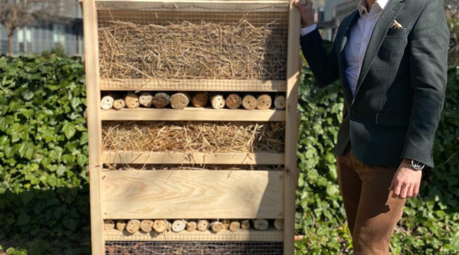 W Warszawie powstanie największy na świecie dom… dla owadów.