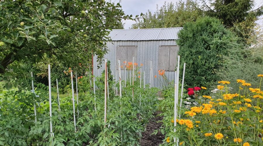 Garden staging przebojem inwestycyjnym w 2021 r.. Wartość ogródków działkowych rośnie dynamicznie