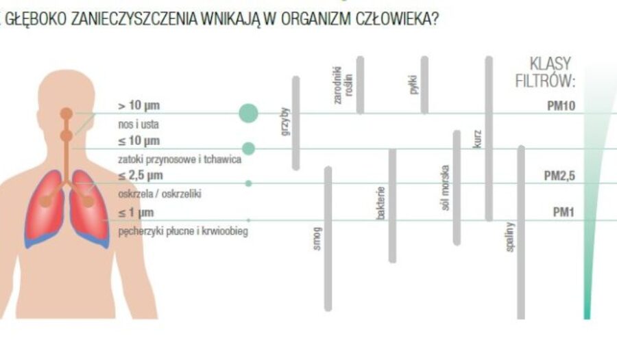 Ważne fakty na temat rekuperacji w domu 